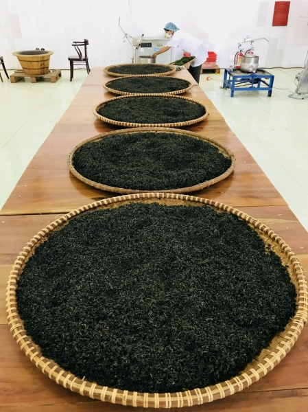Trà xuất khẩu - Hà Thái Tea - Công Ty CP Chè Hà Thái Thái Nguyên